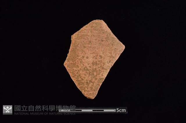 陶片藏品圖，第1張