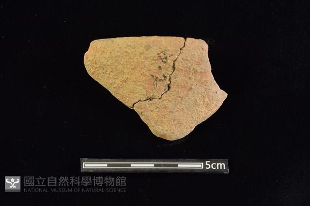 陶罐藏品圖，第1張