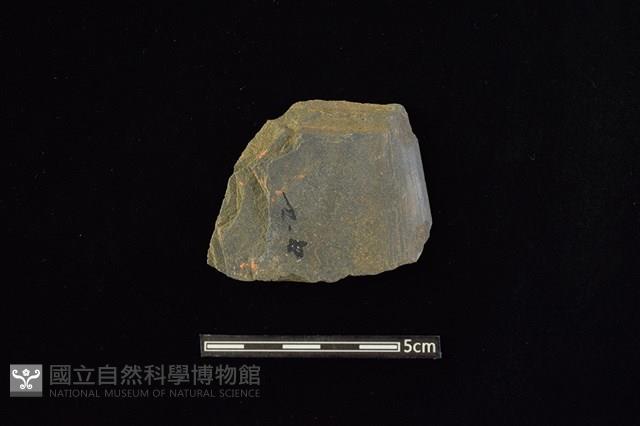 石槍頭藏品圖，第1張