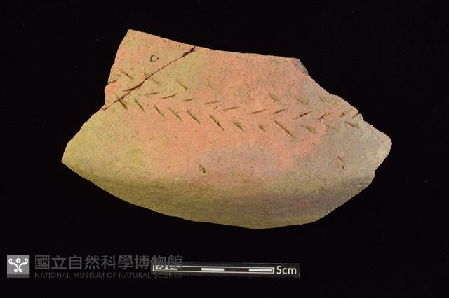 陶缽藏品圖，第1張