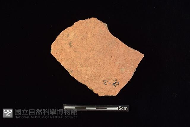 陶片藏品圖，第1張