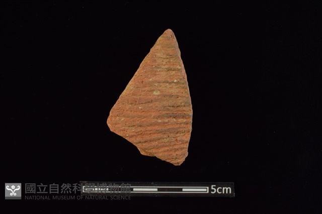 陶片藏品圖，第1張