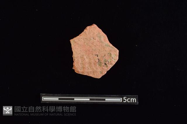 陶片藏品圖，第1張