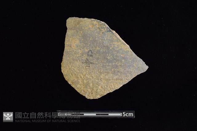 陶片藏品圖，第1張