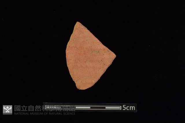 陶片藏品圖，第1張