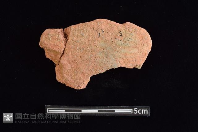 陶片藏品圖，第1張