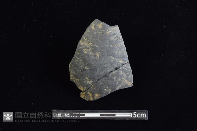 陶片藏品圖，第1張