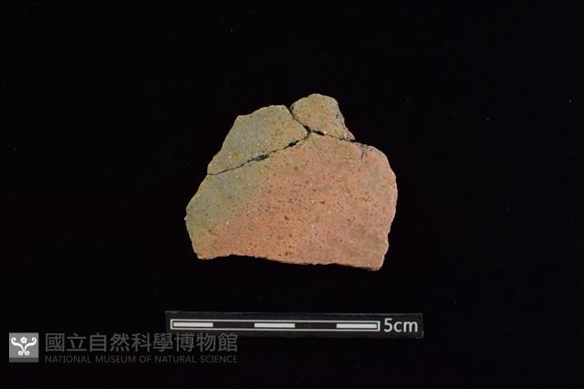 陶片藏品圖，第1張