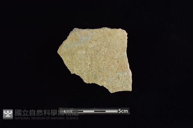 陶片藏品圖，第1張