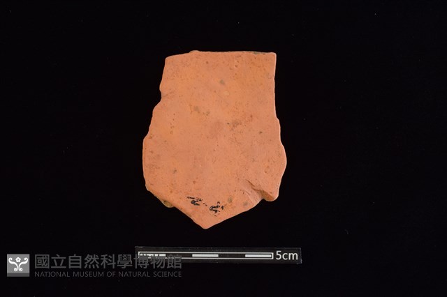 陶片藏品圖，第1張