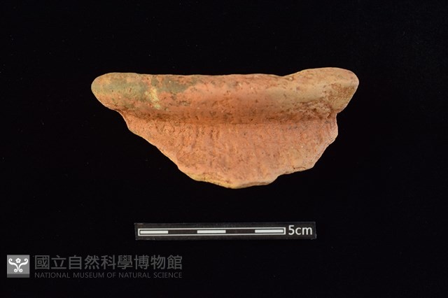 陶罐藏品圖，第1張