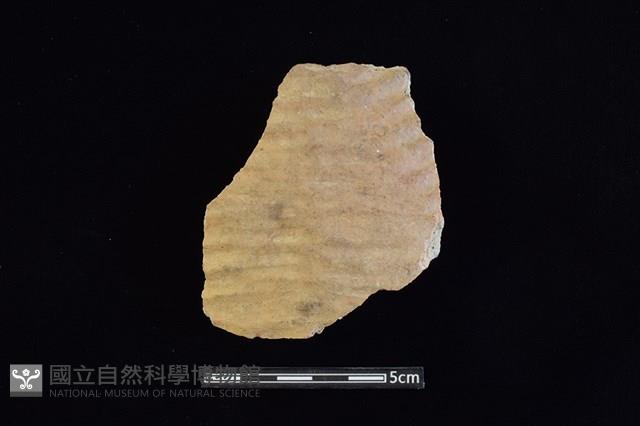 陶片藏品圖，第1張