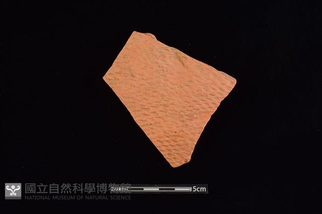 陶片藏品圖，第1張