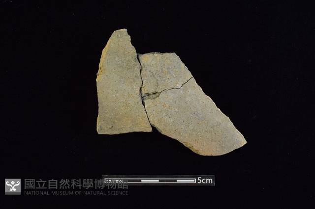 陶片藏品圖，第1張