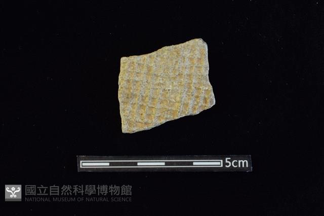 陶片藏品圖，第1張