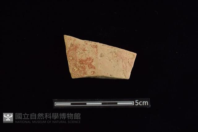 陶片藏品圖，第1張