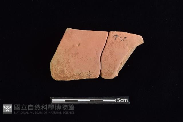 陶片藏品圖，第1張