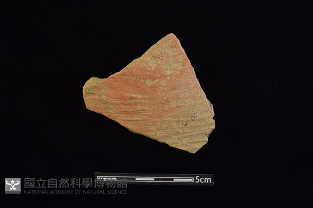 陶片藏品圖，第1張