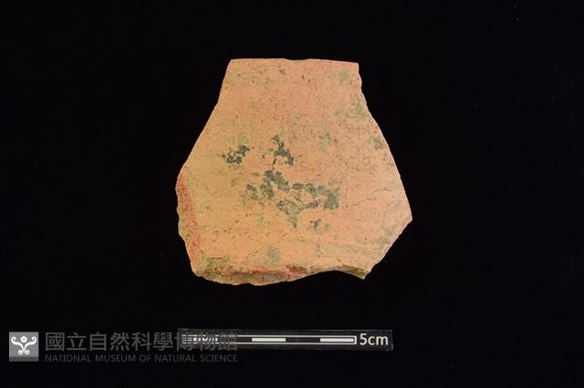 陶罐藏品圖，第1張