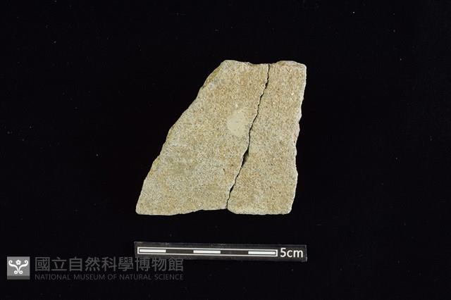 陶片藏品圖，第1張