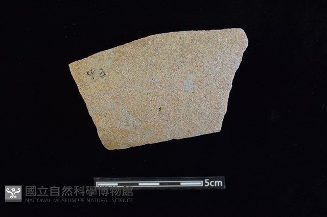 陶片藏品圖，第1張