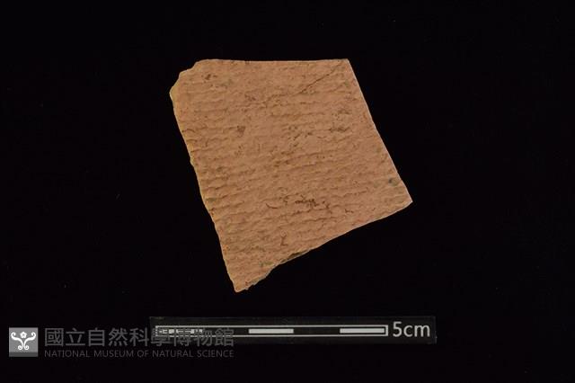 陶片藏品圖，第1張