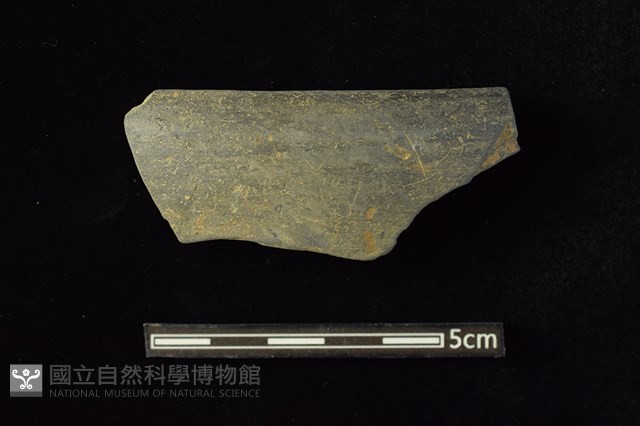 陶缽 藏品圖，第1張