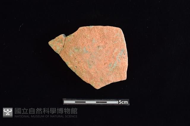 陶片藏品圖，第1張