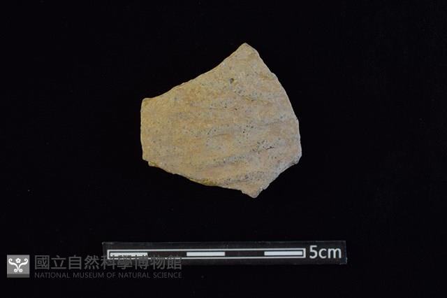 陶片藏品圖，第1張