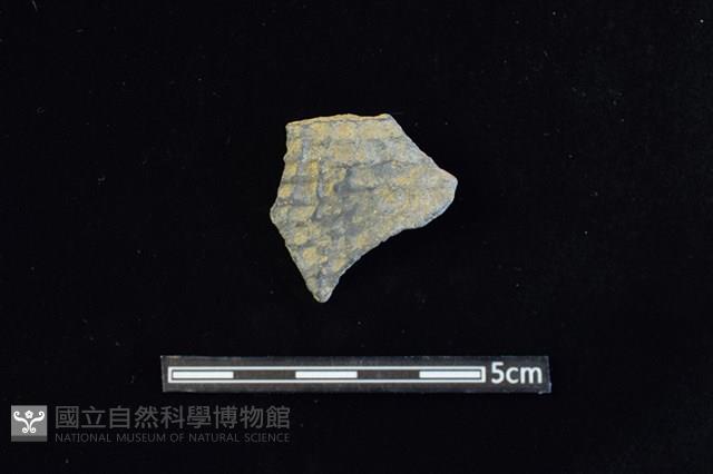 陶片藏品圖，第1張