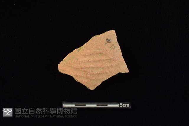 陶片藏品圖，第1張