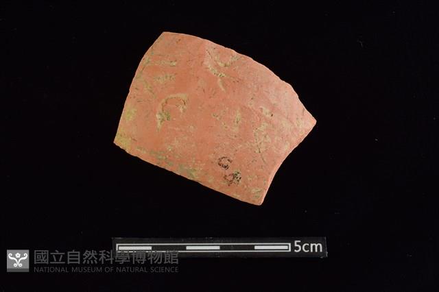 陶片藏品圖，第1張