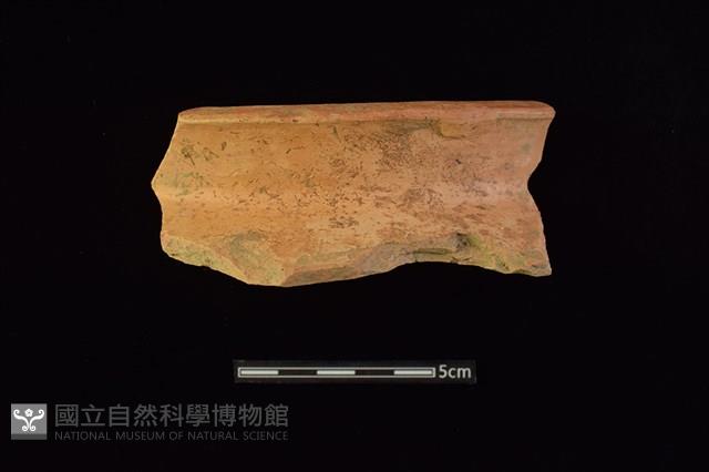 陶罐藏品圖，第1張