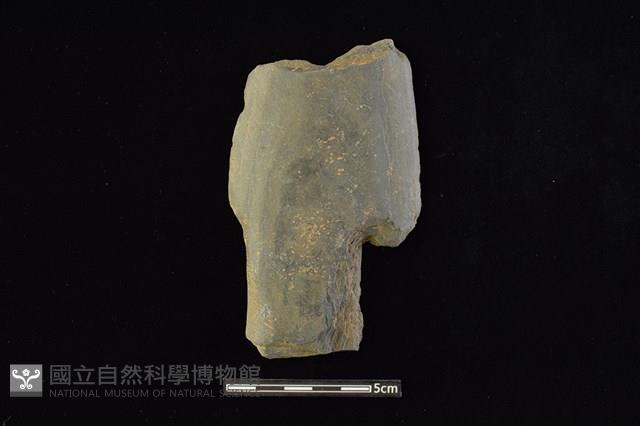 石槍頭藏品圖，第1張