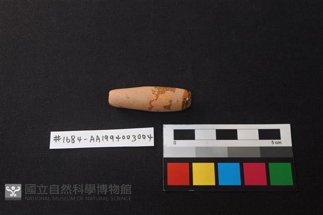 陶製網墜藏品圖，第1張