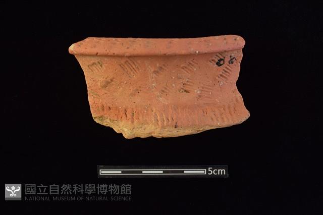 陶罐藏品圖，第1張