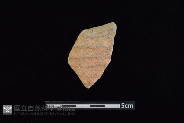 陶片藏品圖，第1張