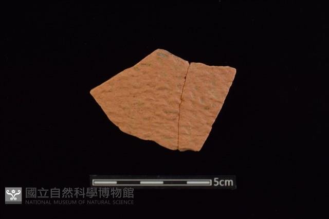 陶片藏品圖，第1張