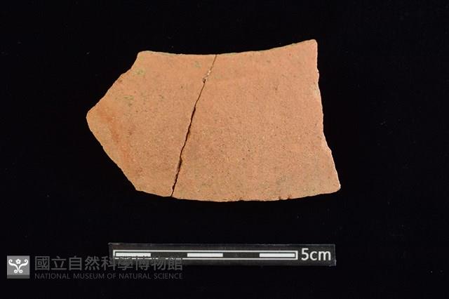 陶片藏品圖，第1張