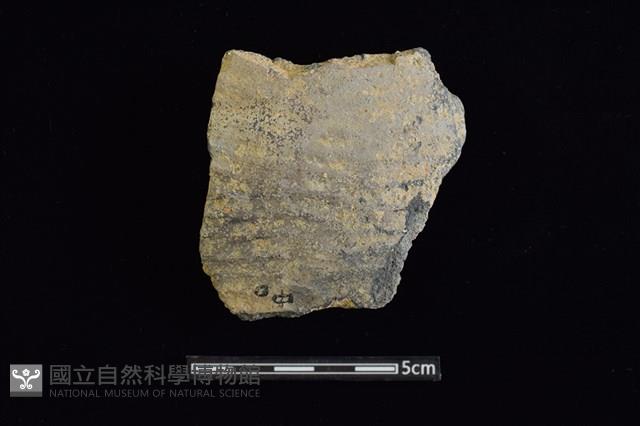 陶片藏品圖，第1張