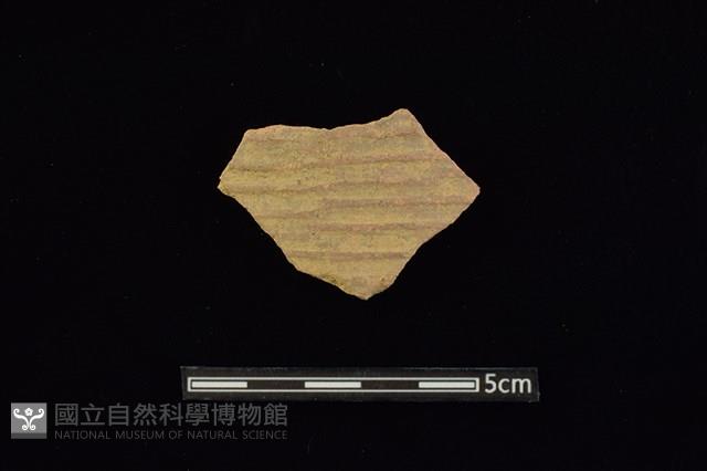 陶片藏品圖，第1張