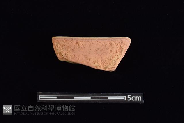 陶片藏品圖，第1張