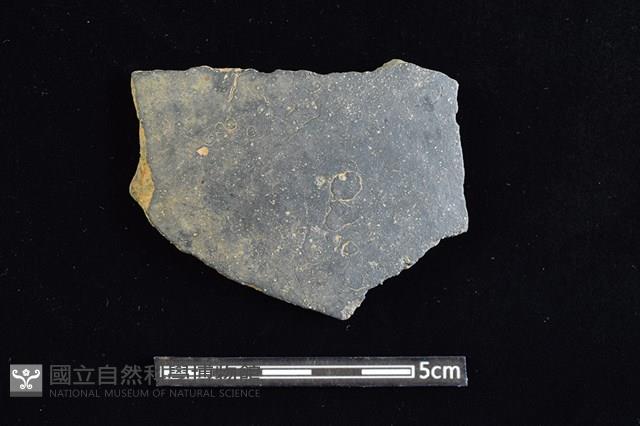 陶片藏品圖，第1張