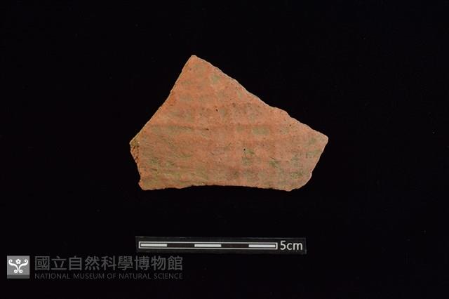 陶片藏品圖，第1張