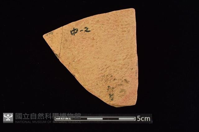 陶片藏品圖，第1張