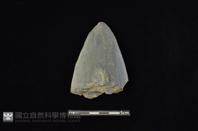 石槍頭藏品圖，第1張