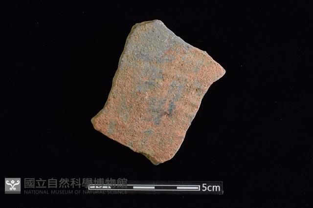 陶片藏品圖，第1張