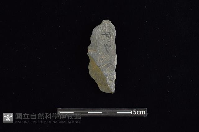 板岩片藏品圖，第1張