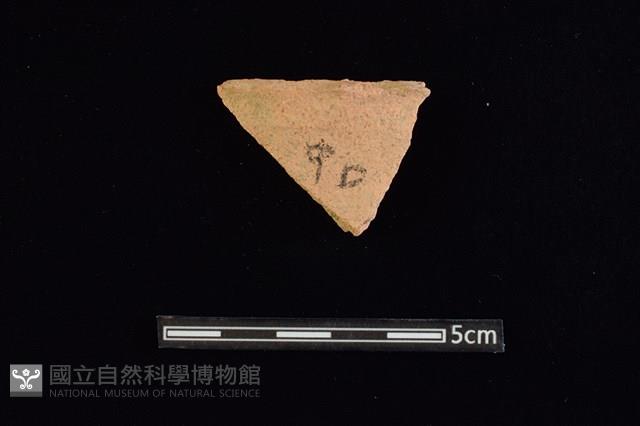 陶片藏品圖，第1張