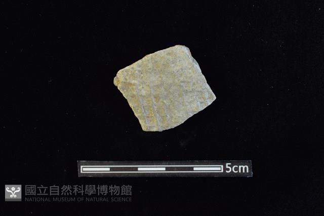 陶片藏品圖，第1張